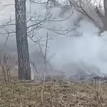 Спалював листя біля ліцею: у селі на Вінниччині оштрафували чоловіка