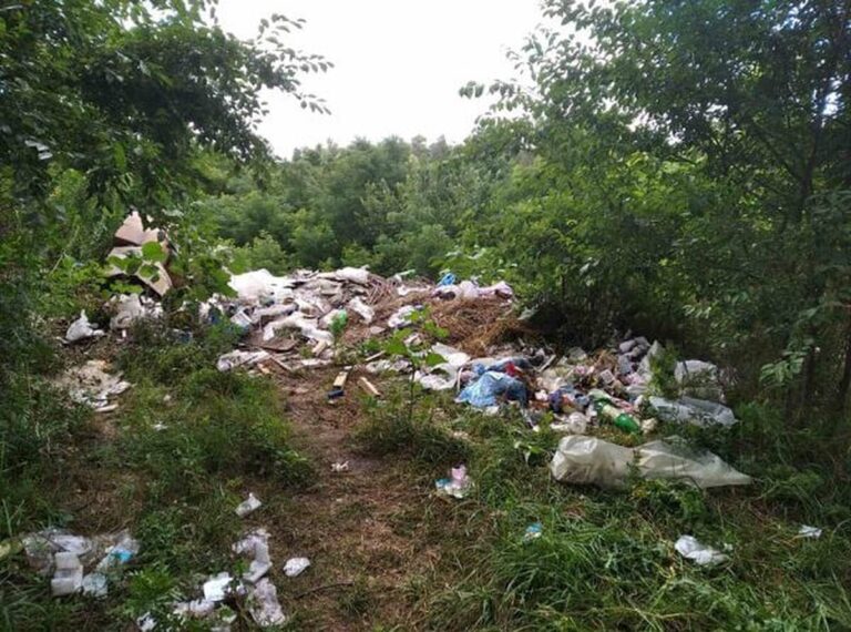 Штрафи за сміття: у Калинівці та Жмеринці виявили стихійні сміттєзвалища