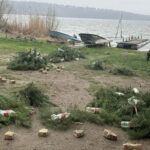 На водоймах Вінниччини облаштували гнізда для нересту риби