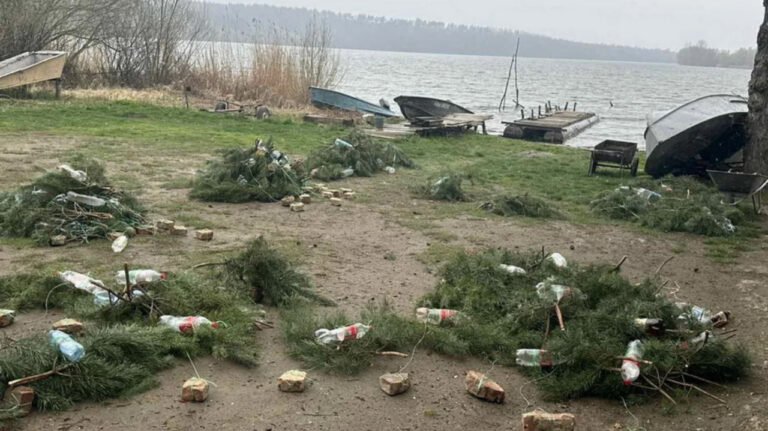 На водоймах Вінниччини облаштували гнізда для нересту риби