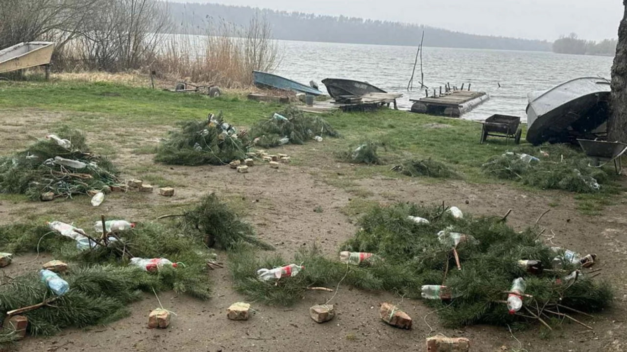 На водоймах Вінниччини облаштували гнізда для нересту риби