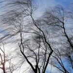 До +24°C та вітряно: яку погоду прогнозують синоптики на Вінниччині 18 квітня