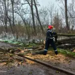 У Вінницькій області негода наробила біди: рятувальники ліквідували наслідки