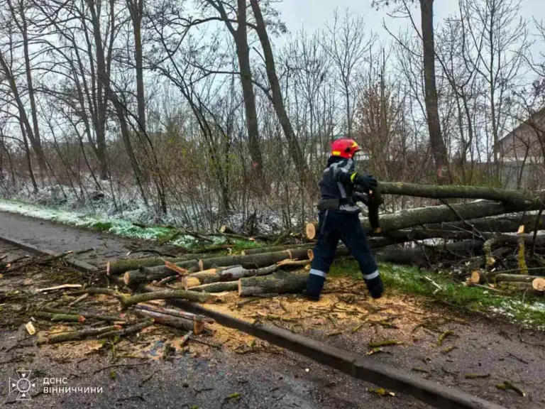 У Вінницькій області негода наробила біди: рятувальники ліквідували наслідки