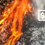 Через спалювання сухої рослинності у Вінниці оштрафували 26 містян