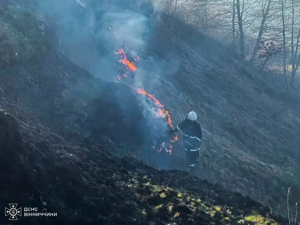 На Вінниччині спалахнуло 16 пожеж: що та де горіло