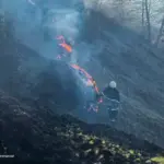 На Вінниччині спалахнуло 16 пожеж: що та де горіло