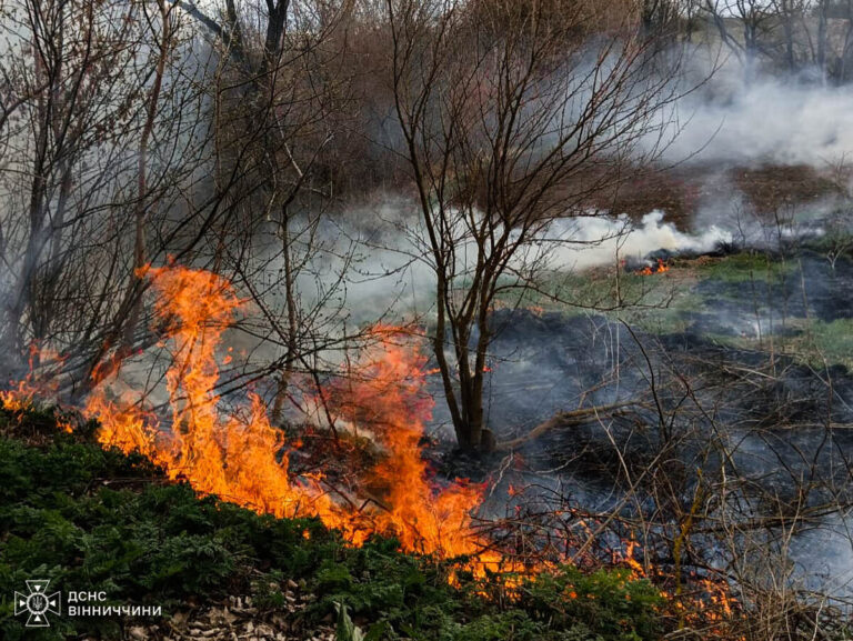 Необережність призвела до пожеж: рятувальники ліквідували 12 загорянь