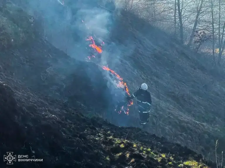 На Вінниччині спалахнуло 16 пожеж: що та де горіло