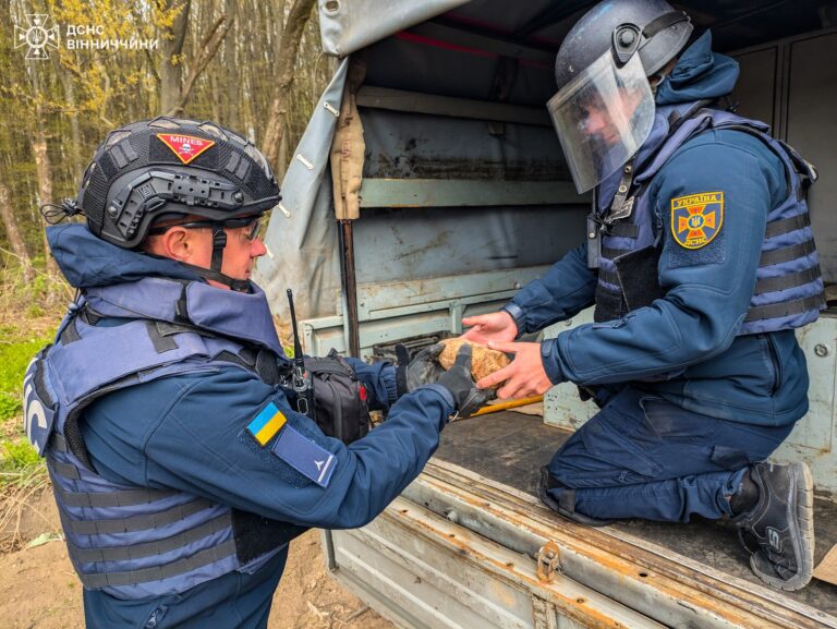 У лісі на Вінниччині знайшли боєприпаси часів Другої світової війни