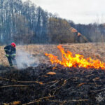 На Вінниччині за добу вигоріло понад 17 гектарів екосистем