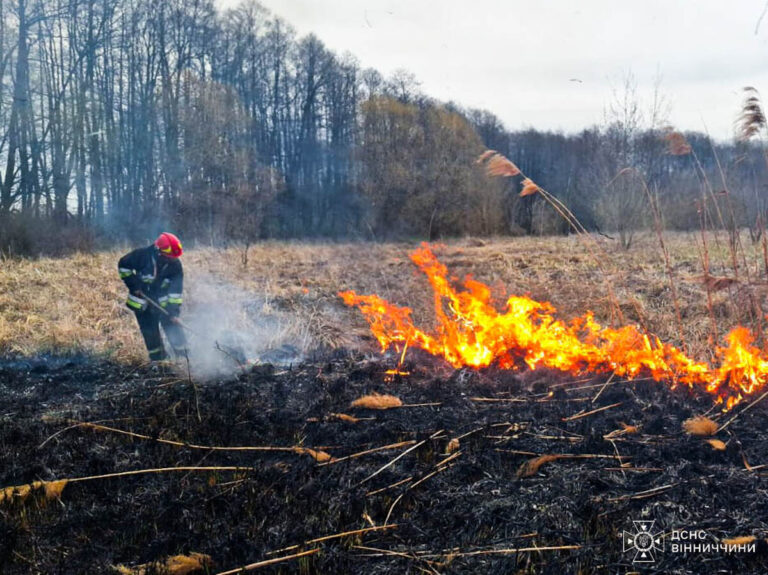 На Вінниччині за добу вигоріло понад 17 гектарів екосистем