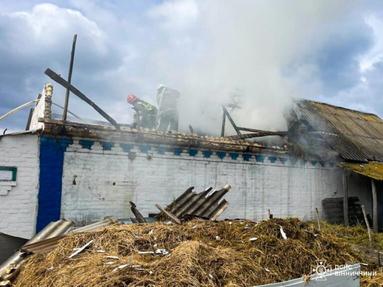 На Вінниччині горіли екосистеми, приватні домоволодіння та господарські споруди