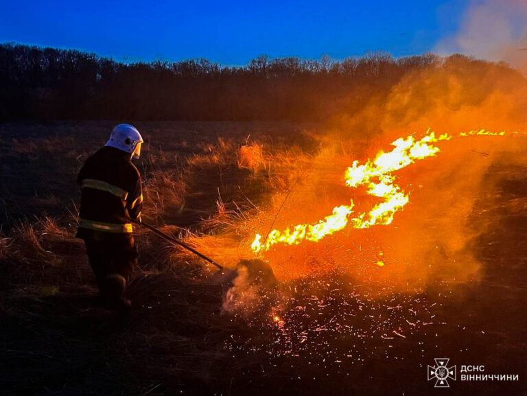 На Вінниччині за добу ліквідували 28 пожеж на відкритих територіях