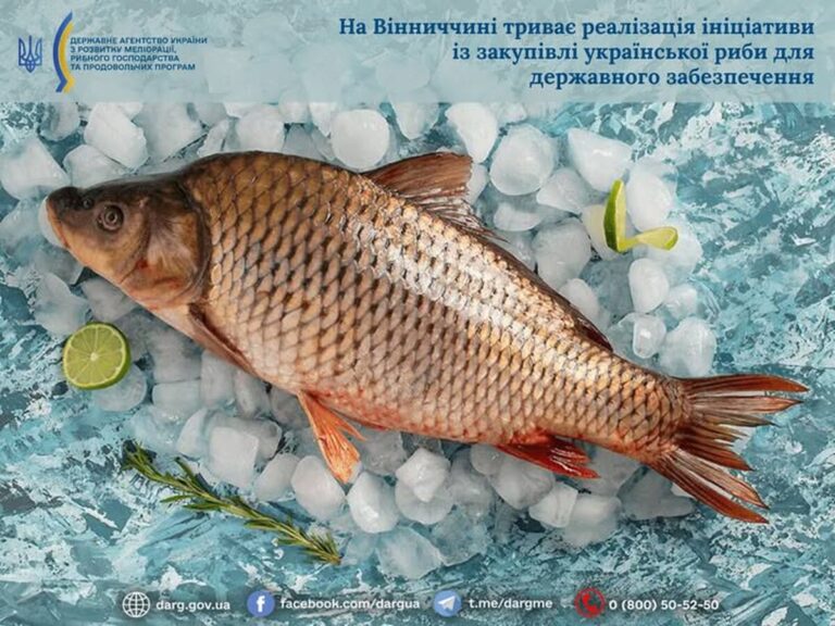 Рибою з Вінниччини годуватимуть увязнених