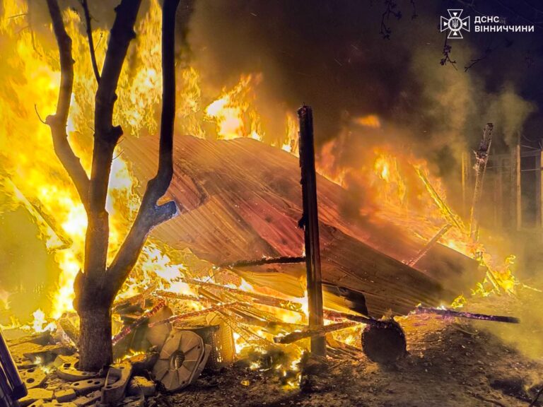 Горіло на площі понад 10 гектарів: на Вінниччині спалахнуло 27 пожеж (ФОТО)