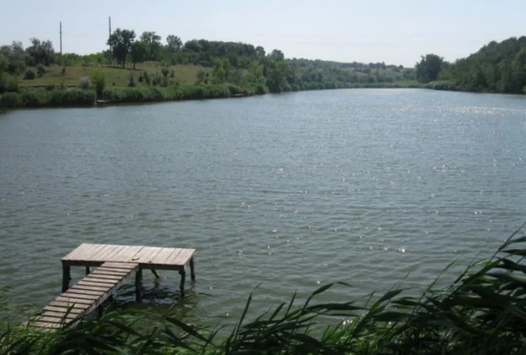 У Вінниці проведуть торги по оренді чотирьох ставків