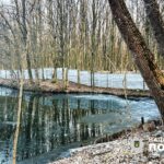 У Вінниці чоловік продав родичу незаконно привласнену ділянку з озером