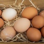 В Україні зміняться ціни на яйця: до чого готуватися