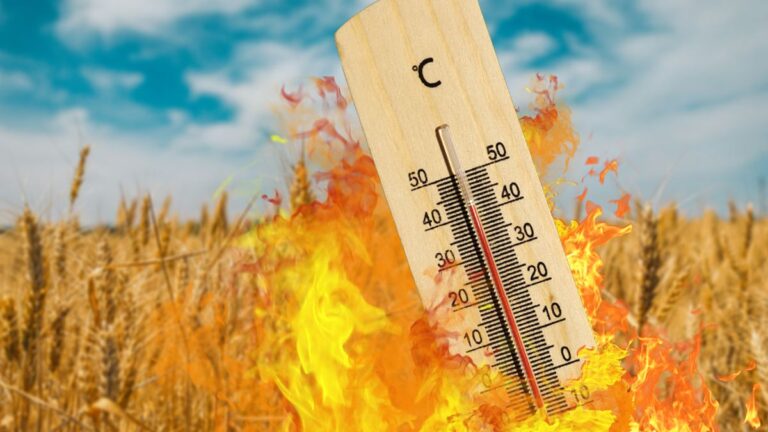 На Вінниччині очікується весняне потепління до +23°