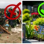 Вінничан просять не нести штучні квіти на кладовище