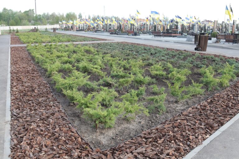 На Сабарівському кладовищі облаштували патріотичний квітник