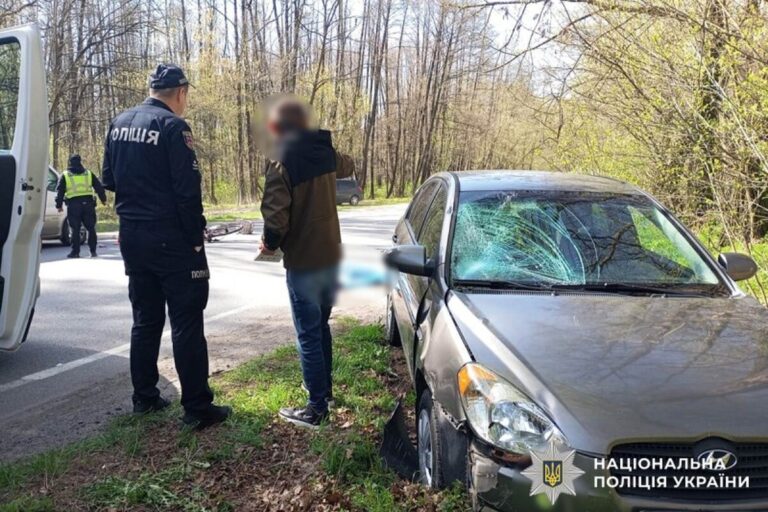 Смертельна ДТП під Гніванню: 77-річний велосипедист загинув на місці
