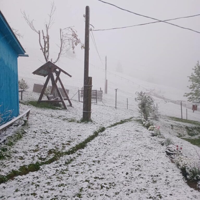 Зима повернулася: частину України засипало снігом (ФОТО)