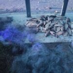 Чоловік виловив забороненою сіткою 29 кілограмів риби з Південного Бугу на Вінниччині
