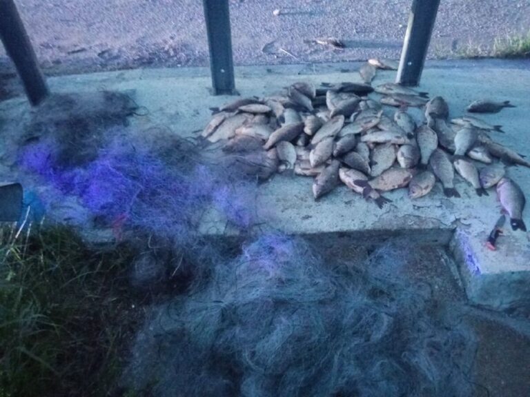 Чоловік виловив забороненою сіткою 29 кілограмів риби з Південного Бугу на Вінниччині