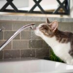 Вінничан закликають запастися водою: у місті 6 травня обмежать водопостачання