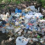 Два сміттєзвалища посеред лісосмуги: у Вінниці покарали порушників правил благоустрою громади