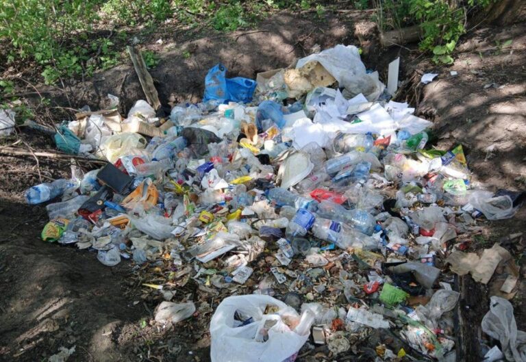 Два сміттєзвалища посеред лісосмуги: у Вінниці покарали порушників правил благоустрою громади