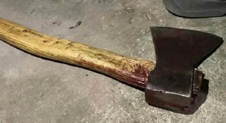 Брат вбив сестру сокирою: на Вінниччині трапився жахливий злочин