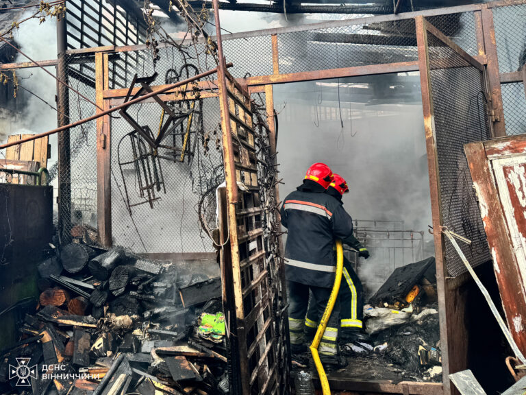 У Вінниці неподалік «Авалону» спалахнула пожежа біля приватного будинку