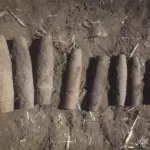 У Липовецькій громаді виявили артилерійські снаряди часів Другої світової