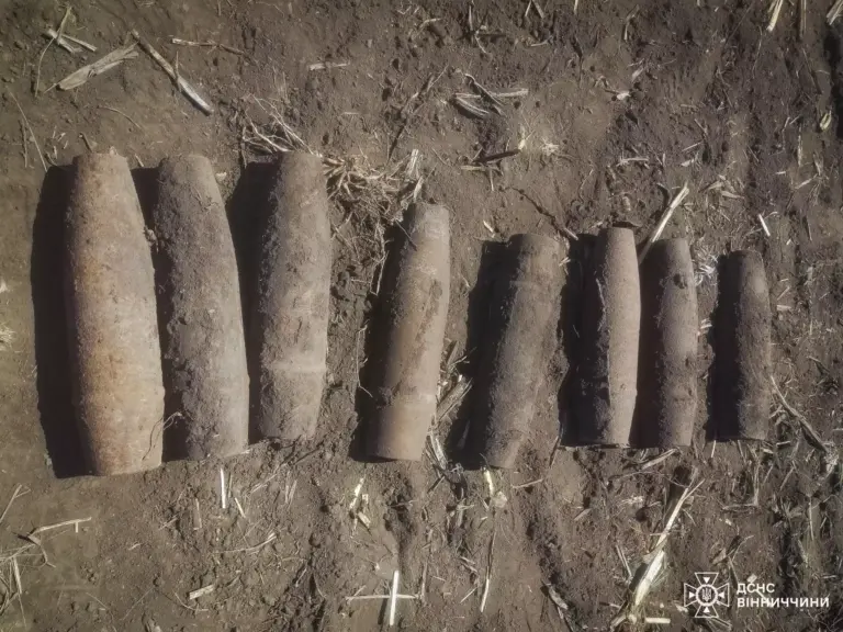 У Липовецькій громаді виявили артилерійські снаряди часів Другої світової