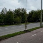 У Вінниці вздовж Сабарівського шосе висадили 130 дубів (ФОТО)