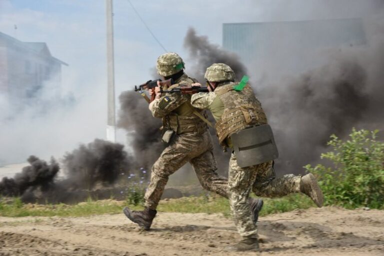 У Вінниці просять допомогти облаштувати полігон: опубліковано петицію