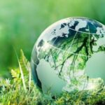 Оголошено переможців конкурсу учнівських ініціатив Ековектор