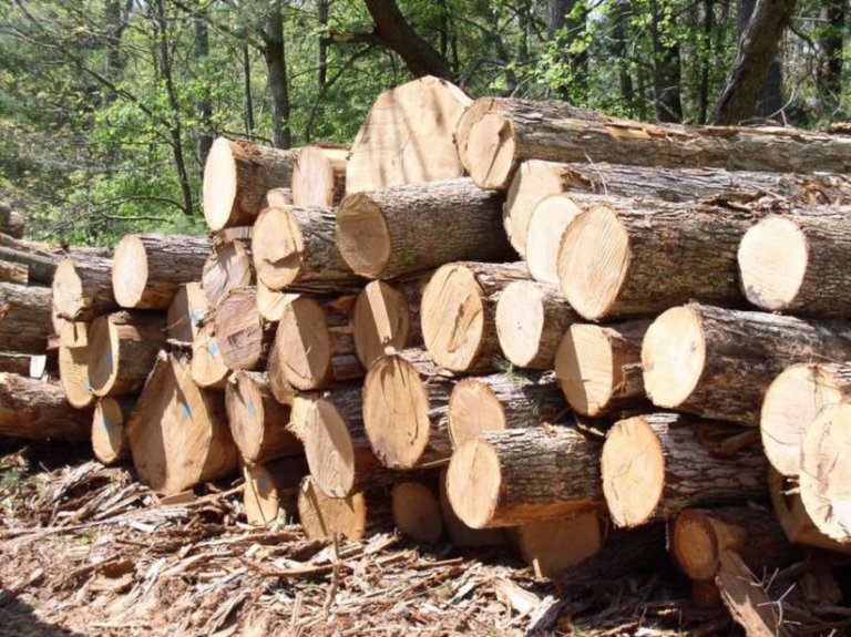 Несплата податків на мільйони: вінницьку компанію змусили повернути 4,5 млн грн до бюджету