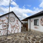 Мистецький проєкт «Мальована хата» триває у Буші (ФОТО)