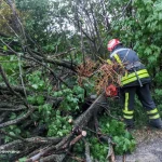 Повалені вітром дерева: на Вінниччині рятувальники ліквідували наслідки негоди (ФОТО)