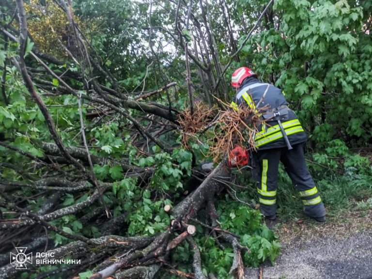 Повалені вітром дерева: на Вінниччині рятувальники ліквідували наслідки негоди (ФОТО)