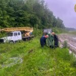 Негода знеструмила шість населених пунктів на Вінниччині (ФОТО)