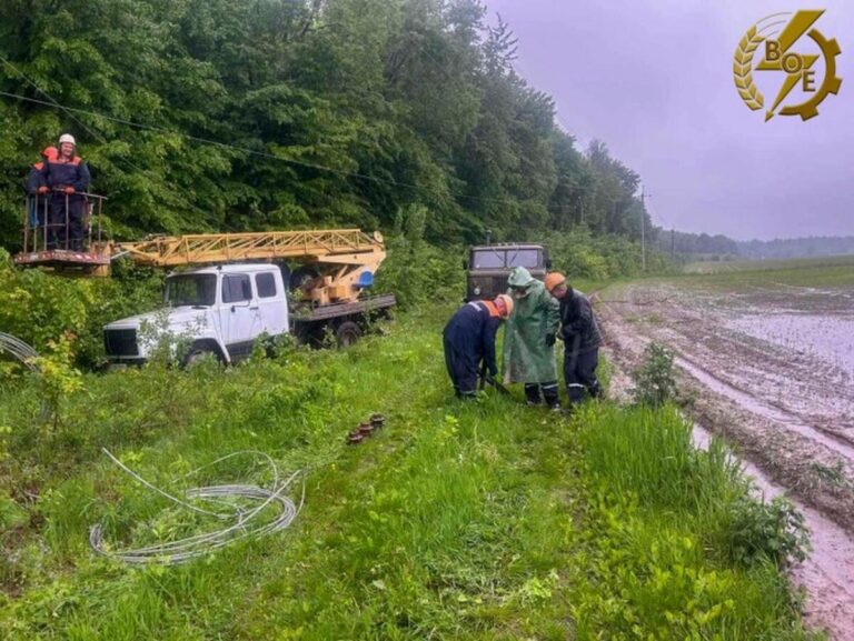 Негода знеструмила шість населених пунктів на Вінниччині (ФОТО)