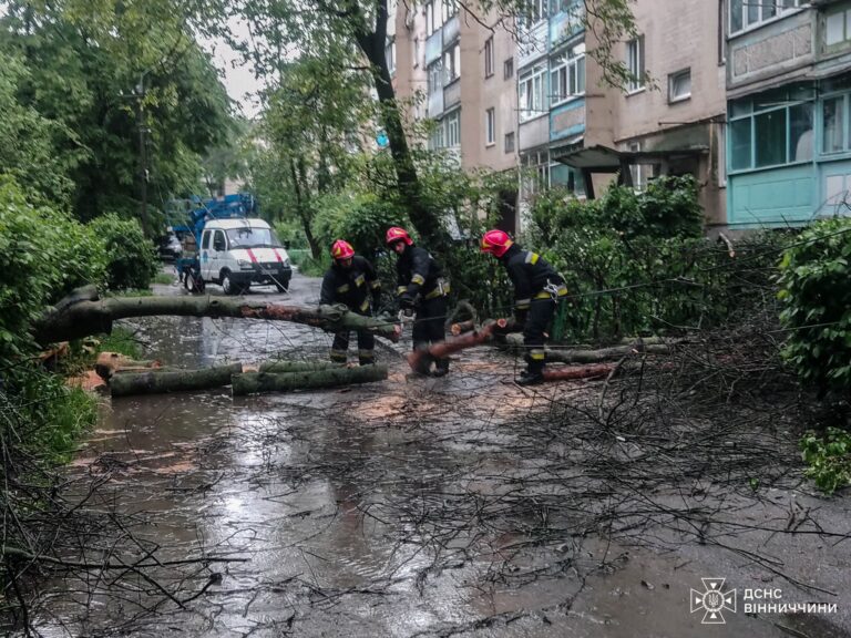 Шторм у Вінниці: рятувальники розчищали повалені дерева в місті