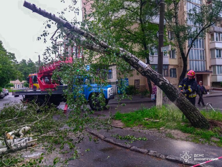 Негода наробила лиха у Вінницькій області ДСНС ліквідовує наслідки стихії