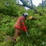 Негода на Вінниччині: рятувальники розчищали дороги від повалених дерев