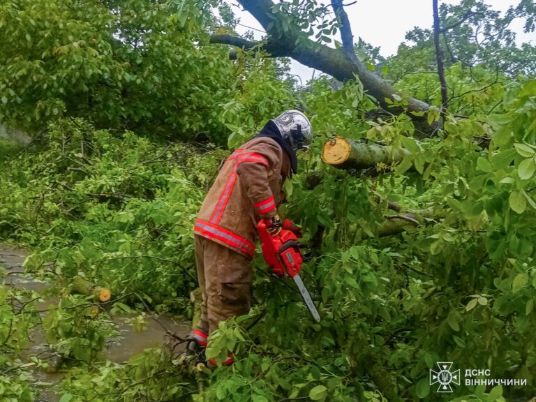 Негода на Вінниччині: рятувальники розчищали дороги від повалених дерев